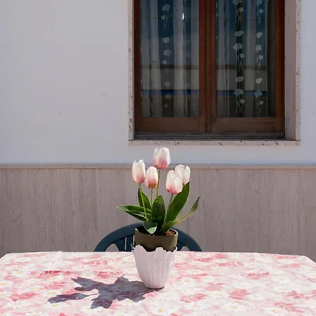 The Green Sea Small House Torre San Giovanni Ugento