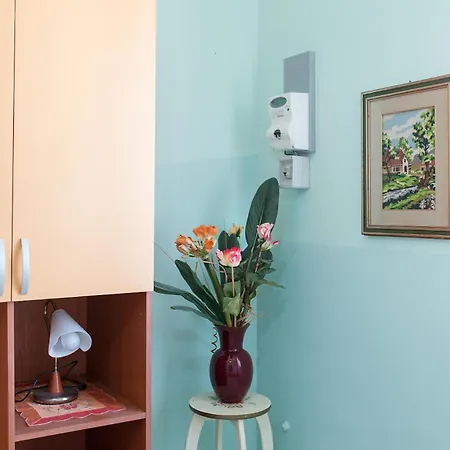 The Green Sea Small House Apartment *